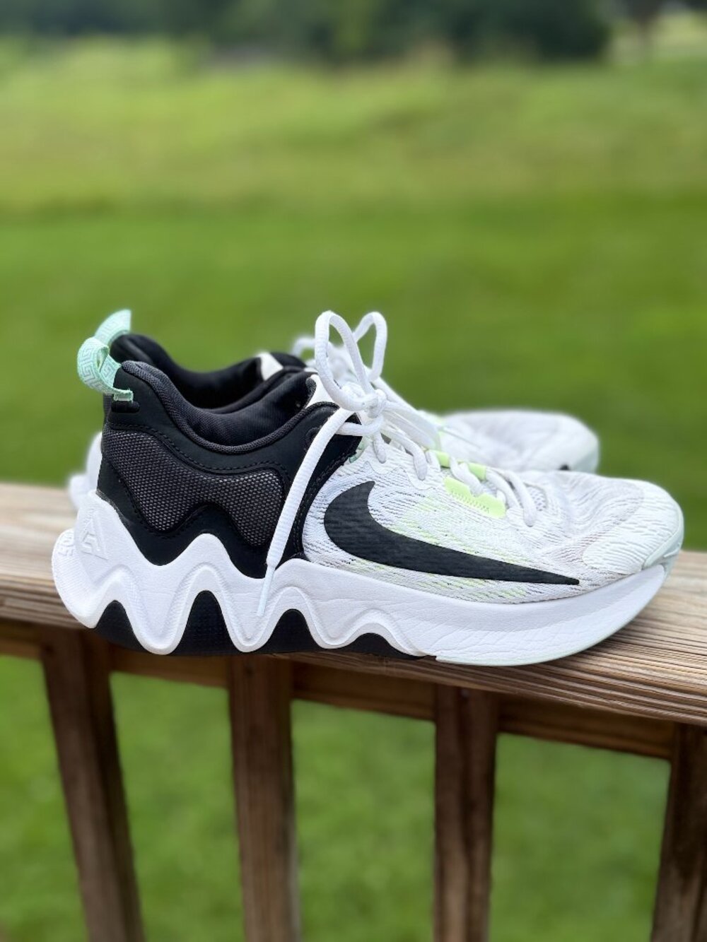 Nike Giannis Immortality 2 Hoopcore Athleisure Y2K Men Shoes Sz 8 3987
